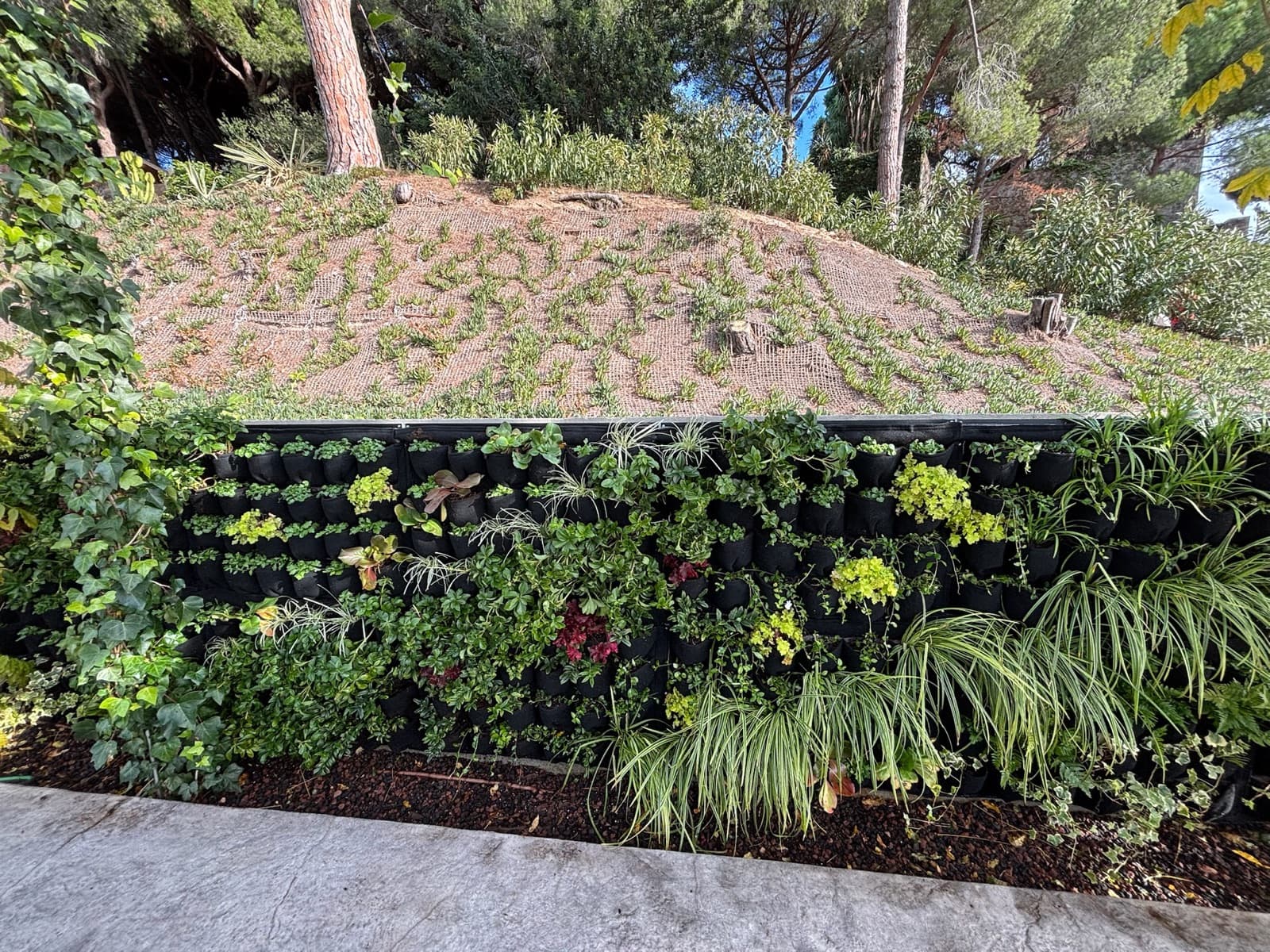 Jardín vertical terminado