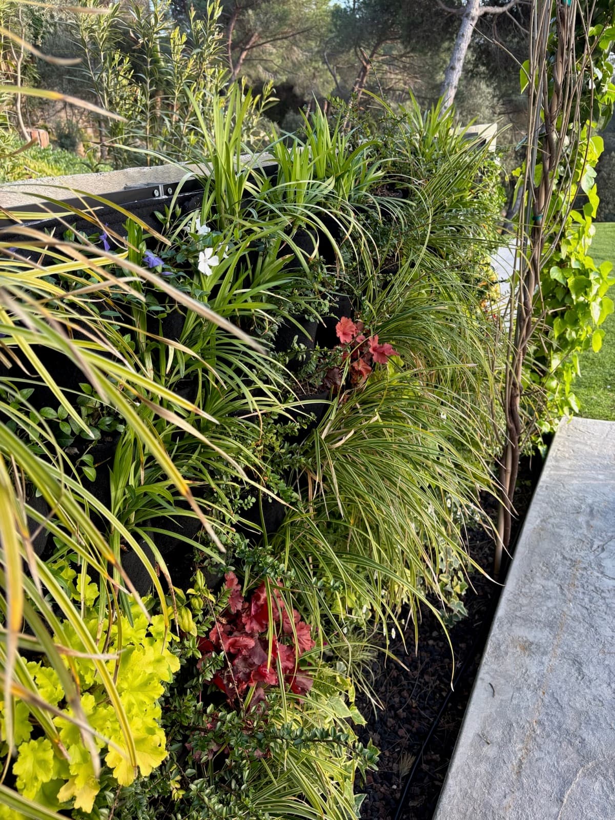 Jardín vertical