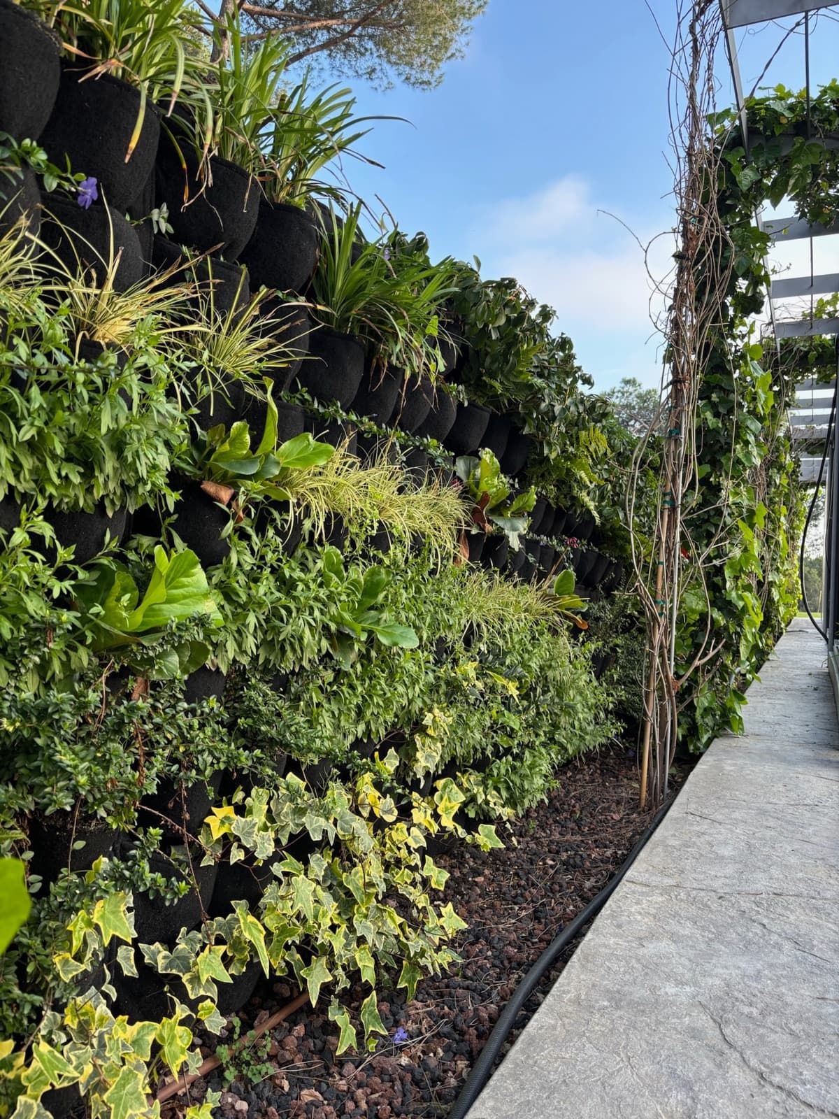 Jardín vertical exterior