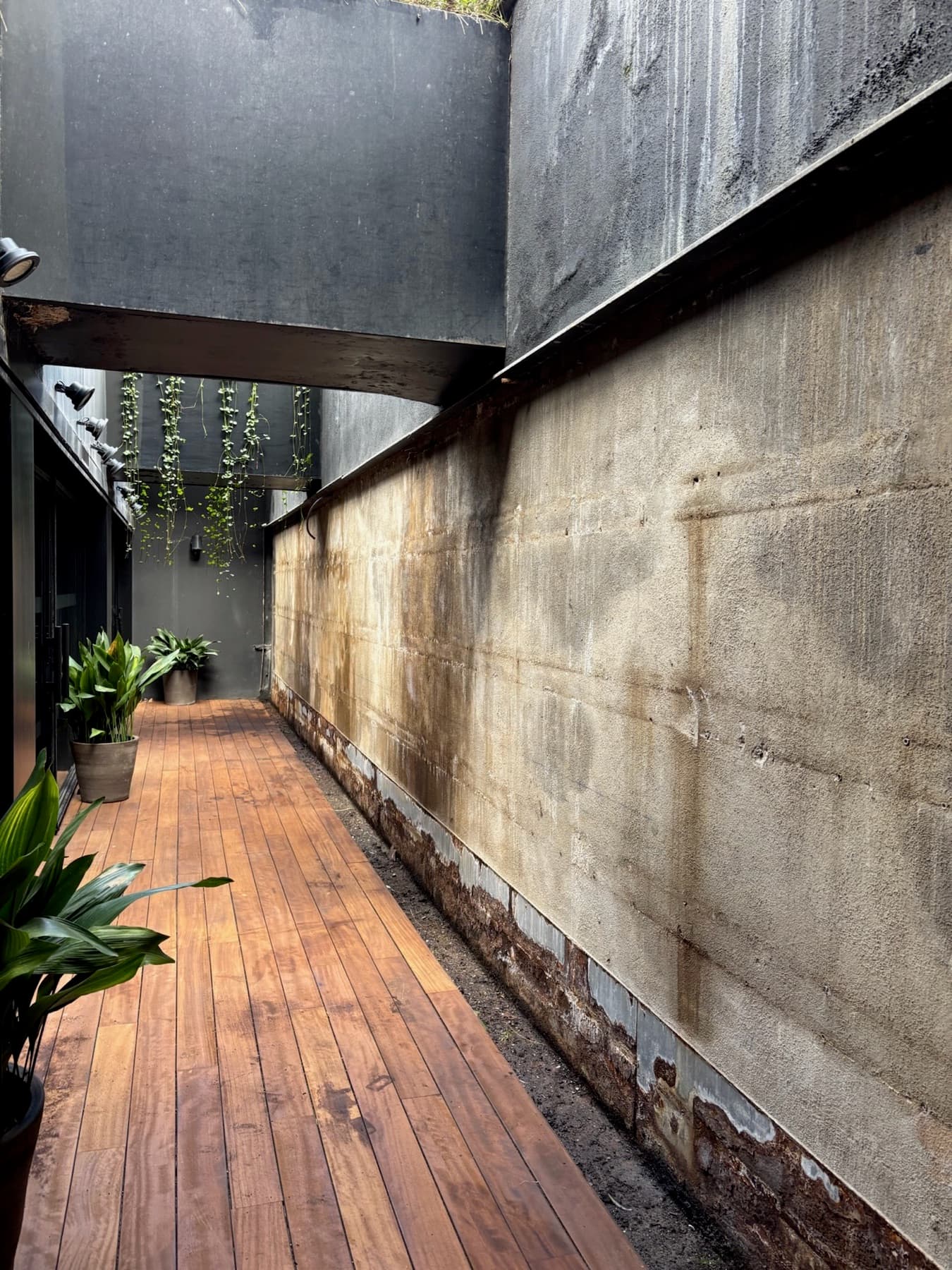 Muro vegetal recién plantado