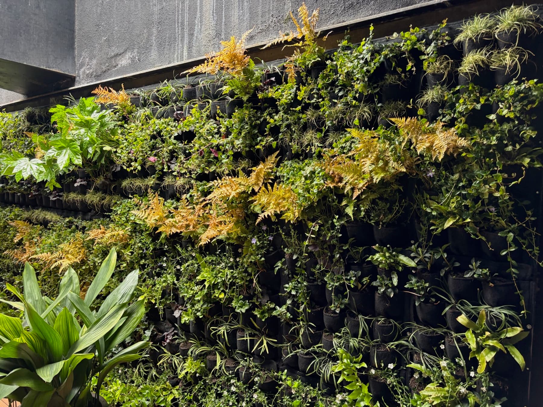 Jardín vertical terminado