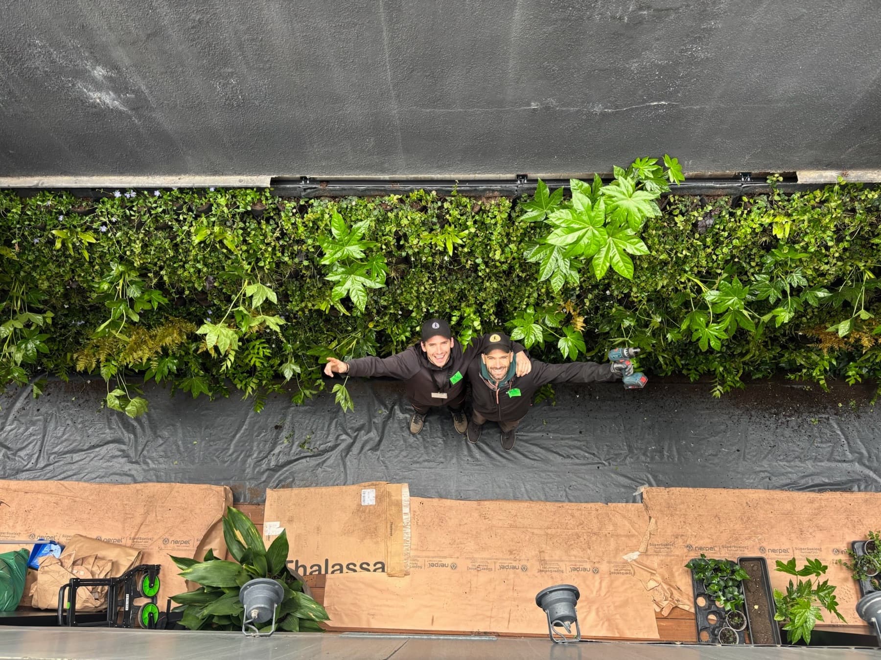 Nuestro equipo frente a un jardín vertical terminado