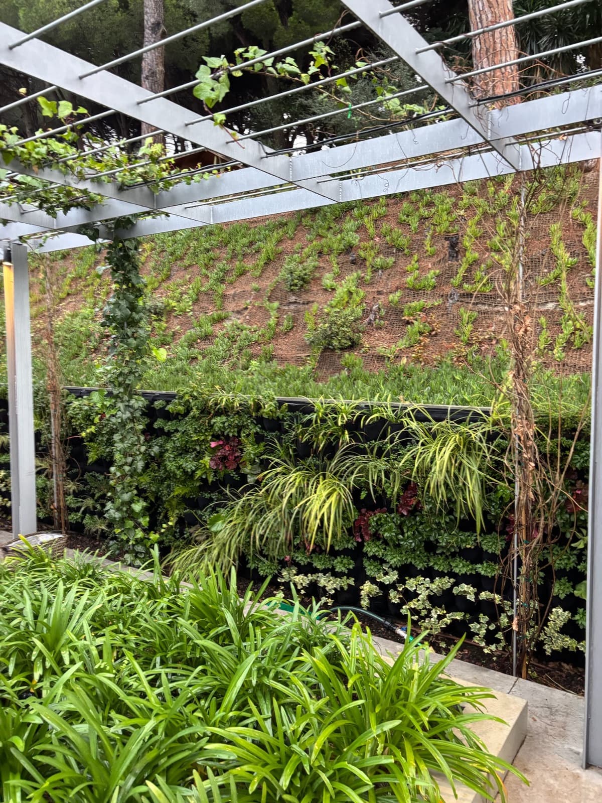 Jardín vertical con pérgola