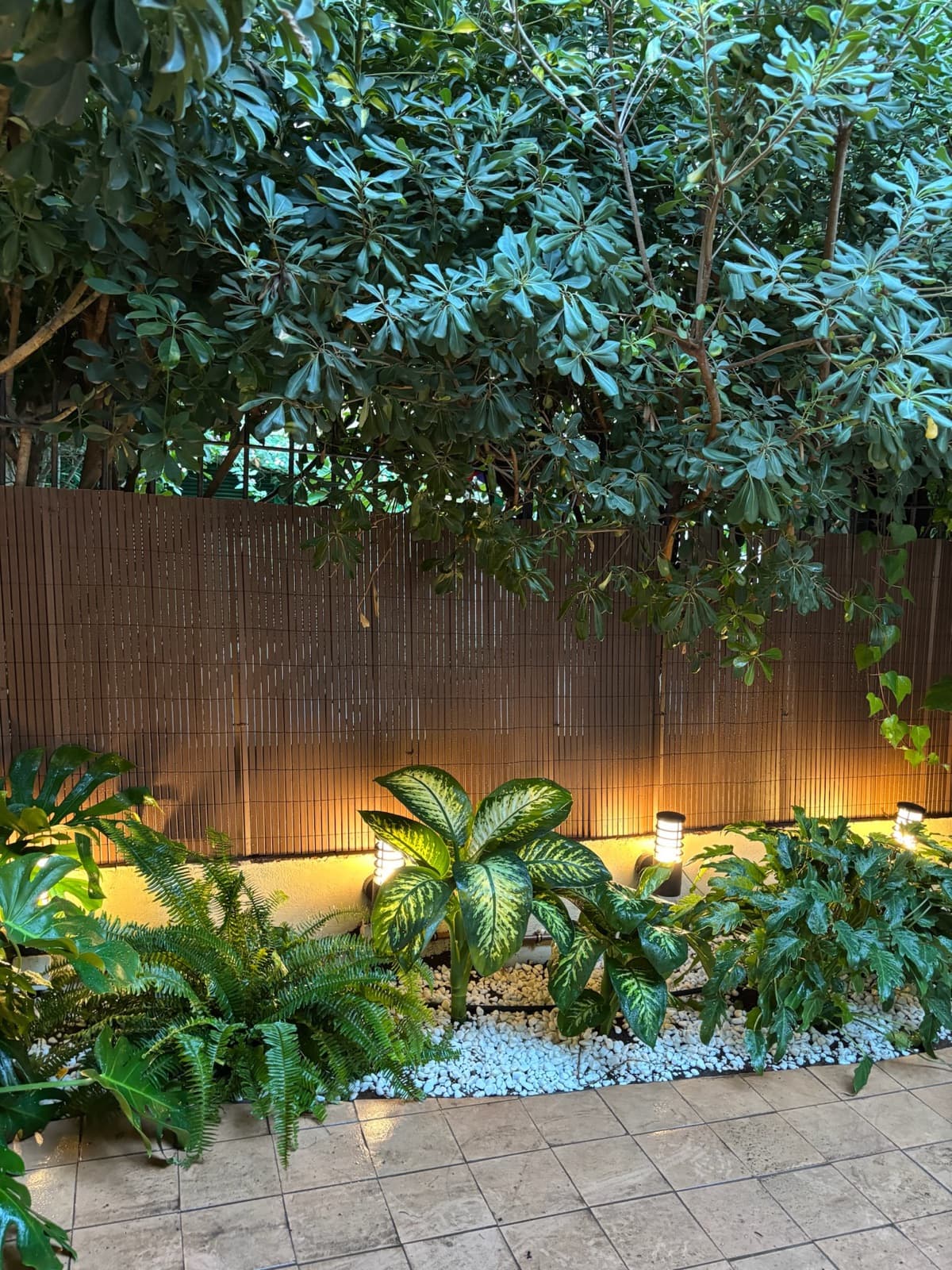 Iluminación y plantas de sombra